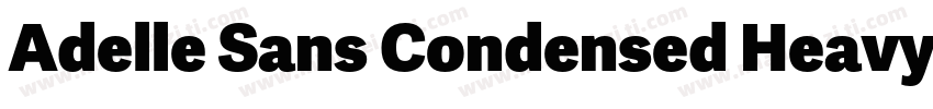 Adelle Sans Condensed Heavy字体转换